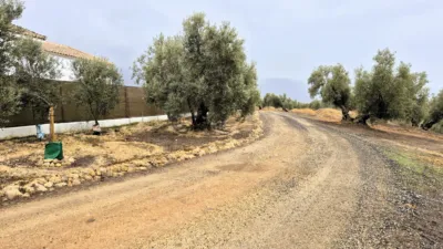 Rustic farm on Calle Riofrio, No. 1 photo 18