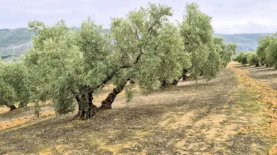 Rustic farm on Calle Riofrio, No. 1 photo 7