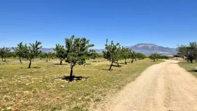 Rustic farm for sale in Moraleda de Zafayona photo 15