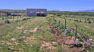 Rustic farm for sale in Moraleda de Zafayona photo 28