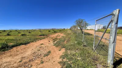 Rustic farm for sale in Moraleda de Zafayona photo 23