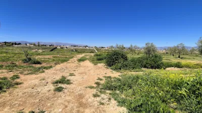 Rustic farm for sale in Moraleda de Zafayona photo 27