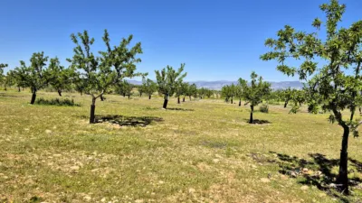 Rustic farm for sale in Moraleda de Zafayona photo 14