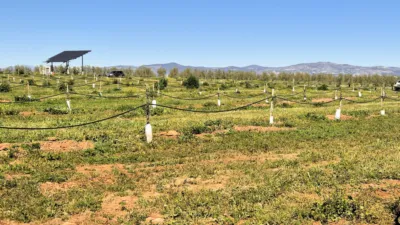 Rustic farm for sale in Moraleda de Zafayona photo 25
