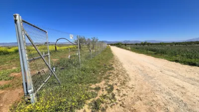 Rustic farm for sale in Moraleda de Zafayona photo 22