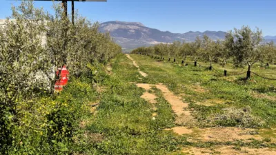 Rustic farm for sale in Moraleda de Zafayona photo 3