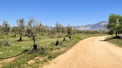 Rustic farm for sale in Moraleda de Zafayona photo 13