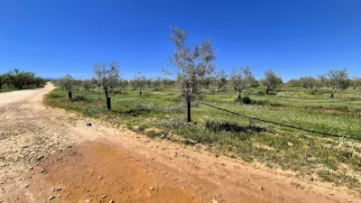 Rustic farm for sale in Moraleda de Zafayona photo 11