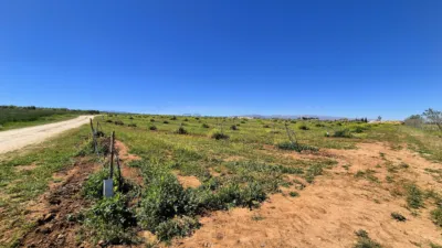 Rustic farm for sale in Moraleda de Zafayona photo 19