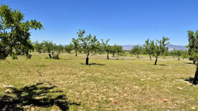 Rustic farm for sale in Moraleda de Zafayona photo 16