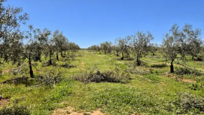 Rustic farm for sale in Moraleda de Zafayona photo 31