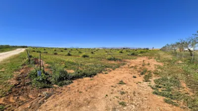 Rustic farm for sale in Moraleda de Zafayona photo 24