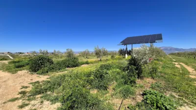 Rustic farm for sale in Moraleda de Zafayona photo 4