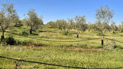 Rustic farm for sale in Moraleda de Zafayona photo 8