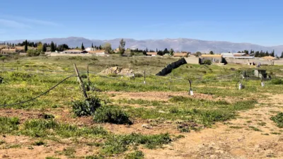 Rustic farm for sale in Moraleda de Zafayona photo 26