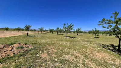 Rustic farm for sale in Moraleda de Zafayona photo 29