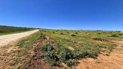 Rustic farm for sale in Moraleda de Zafayona photo 17