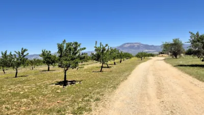 Rustic farm for sale in Moraleda de Zafayona photo 30