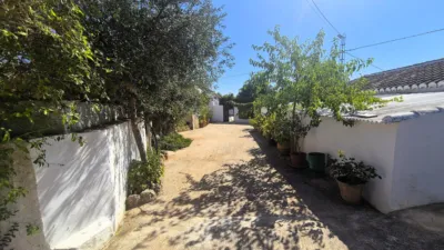 Finca rústica en calle Dehesa de los Montes photo 6