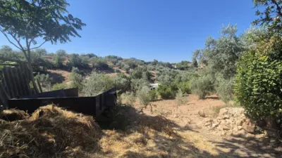 Finca rústica en calle Dehesa de los Montes photo 76