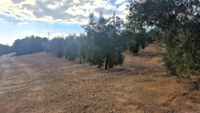 Rustic farm in Dehesa de los Montes photo 24