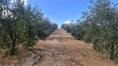 Rustic farm in Dehesa de los Montes photo 23
