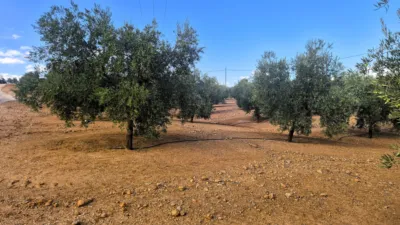 Rustic farm in Dehesa de los Montes photo 30