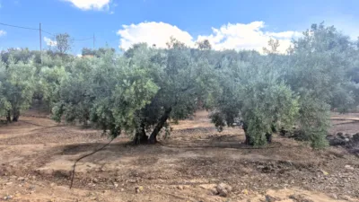 Rustic farm in Dehesa de los Montes photo 26