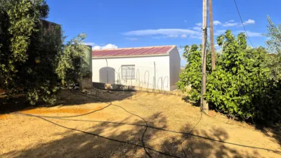 Rustic farm in Dehesa de los Montes photo 16