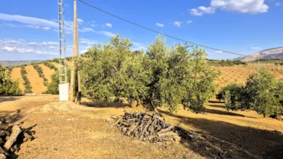 Rustic farm in Dehesa de los Montes photo 18