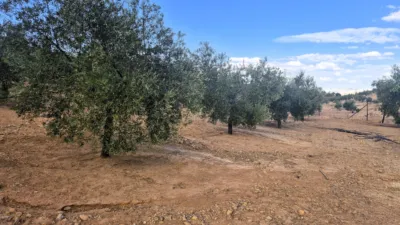 Rustic farm in Dehesa de los Montes photo 25