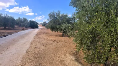Rustic farm in Dehesa de los Montes photo 29