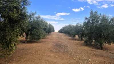 Rustic farm in Dehesa de los Montes photo 28