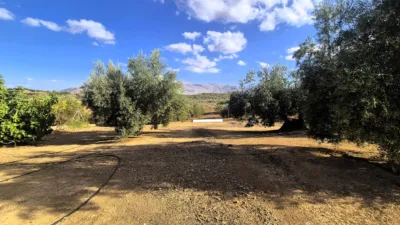 Rustic farm in Dehesa de los Montes photo 12