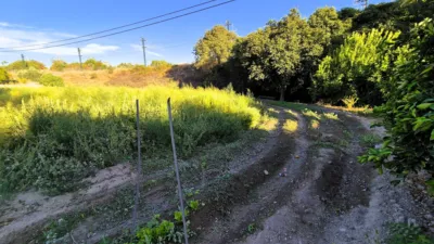 Rustic Finca in Urbanización de Plines photo 51