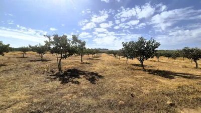 Rustic farm for sale on Calle Moraleda, No. 2 photo 7