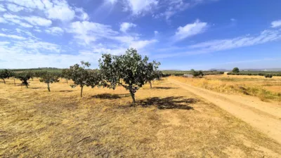 Rustic farm for sale on Calle Moraleda, No. 2 photo 2