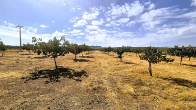 Rustic farm for sale on Calle Moraleda, No. 2 photo 6