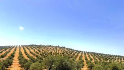 Rustic Farm in Cacín photo 4