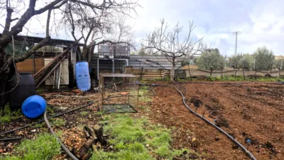Rustic Chalet in Moraleda de Zafayona photo 4