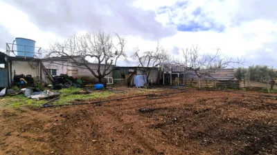 Rustic Chalet in Moraleda de Zafayona photo 8