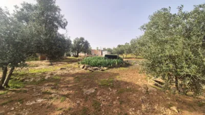 Rustic Finca in Loja photo 14