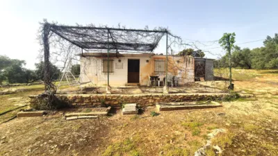 Rustic Finca in Loja photo 7