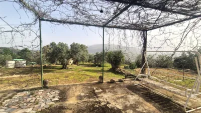 Rustic Finca in Loja photo 16