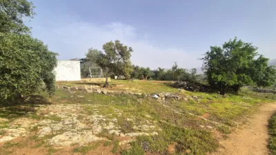 Rustic Finca in Loja photo 21