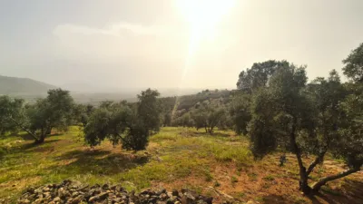 Rustic Finca in Loja photo 20