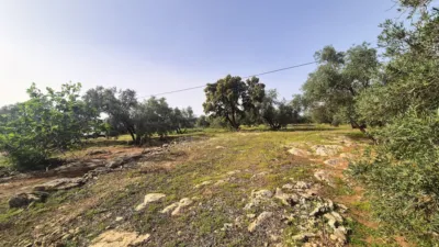 Rustic Finca in Loja photo 27