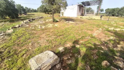 Rustic Finca in Loja photo 25