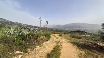 Rustic Finca in Loja photo 22