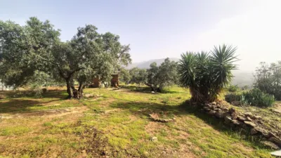 Rustic Finca in Loja photo 10